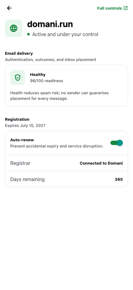 Domani domain screen showing email delivery health, expiry, and auto-renew